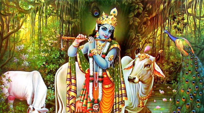 आज श्रीकृष्णजन्माष्टमी’ पर्व देशभर भगवान् श्रीकृष्णको पूजा–आराधना गरी मनाइँदै