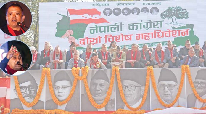 ५६.१२ प्रतिशत प्रतिनिधि सहभागी
