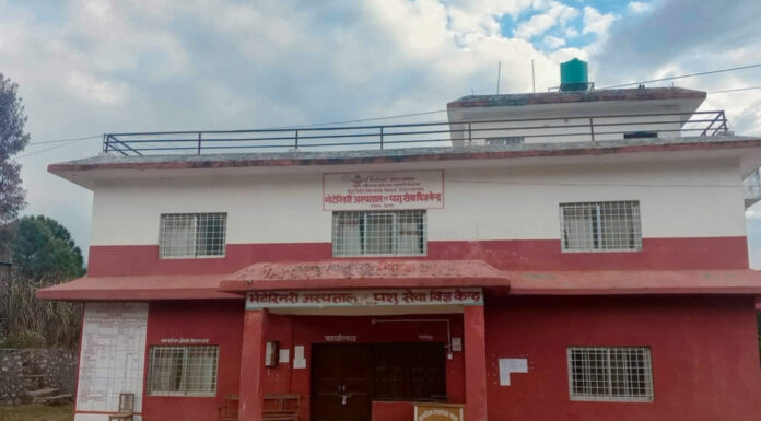 पाटनस्थित भेटेरिनरी अस्पताल डेढ वर्षदेखि चिकित्सकविहीन