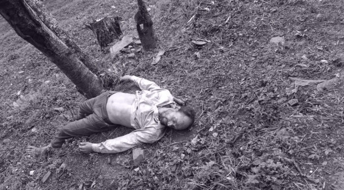 बैतडीमा चट्याङले पशुधनको क्षति, एक पुरुष मृत फेला