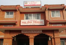‘Stop selling bird flu infected poultry’