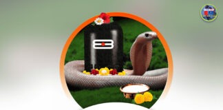 परम्पराअनुसार नागको पूजाअर्चना गरी नागपञ्चमी पर्व मनाइँदै