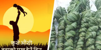 आज बुवाको मुख हेर्ने दिन, कुशेऔँसी मनाइँदै