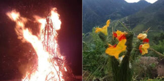 पुतनाको प्रतीक जलाएर बुढी पोल्ने पर्व मनाइँदै