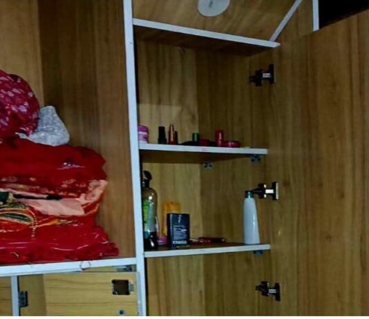 दसैँ मनाउन गाउँ गएका भट्टको घरबाट ६ तोला सुनसहित नगद रकम चोरी